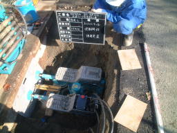 たけのこモール作業